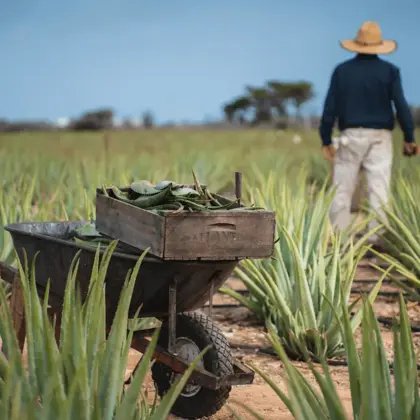 311504054_8629937050350036_3991552202012329618_n